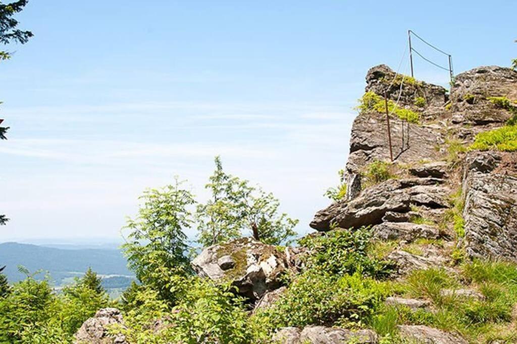 Bayerwald Chalet Kaitersberg Mit Sauna, Sonnenterrasse Und Garten 阿尔恩布鲁克 外观 照片