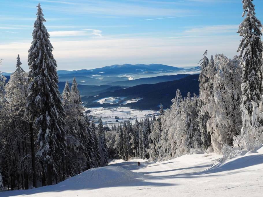 Bayerwald Chalet Kaitersberg Mit Sauna, Sonnenterrasse Und Garten 阿尔恩布鲁克 外观 照片